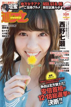 新女婿时代